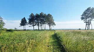 Grundstück von Panoramahus Mols