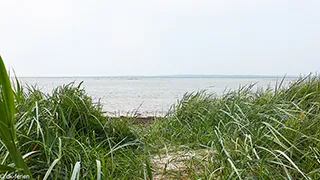 Ausblick von Panoramahus Mols