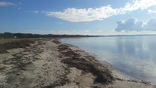 Strand in der Nähe von Skovvangen Aktivhus