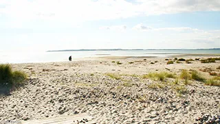 Strand in der Nähe von Højde Poolhus