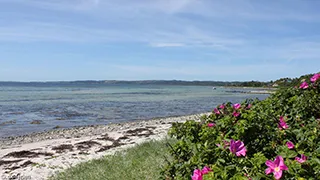 Strand in der Nähe von Egsmark Poolhus