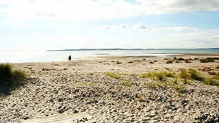 Strand in der Nähe von Waldresidenz