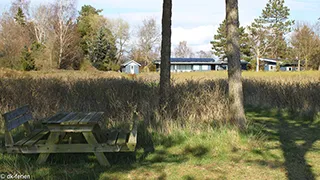 Umgebung von Sommerhus Mols