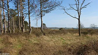 Umgebung von Sommerhus Mols