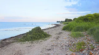 Strand in der Nähe von Hus Gammeldags