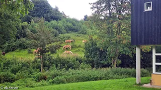 Blick auf die Landschaft von Sjølund Gruppehus