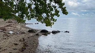 Strand in der Nähe von Vilstrup Strandhus