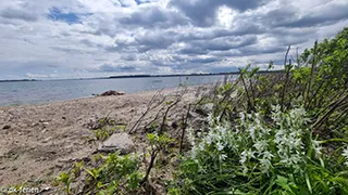 Strand in der Nähe von Vilstrup Strandhus