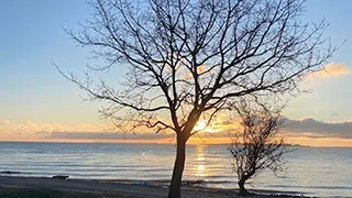 Umgebung von Vilstrup Strandhus