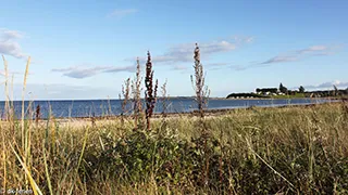 Strand in der Nähe von Diernæs Hus