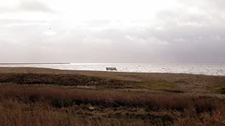 Strand in der Nähe von Kelstrup Skovhus