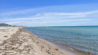 Strand in der Nähe von Dalmose Poolhus