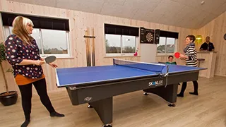 Tischtennisplatte  Ørred Aktivhus