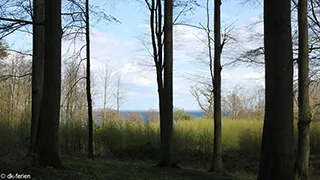 Umgebung von Sandersvig Poolhus