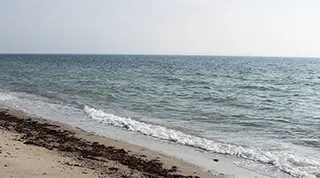 Strand in der Nähe von Flovt Aktivhus