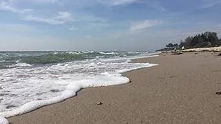 Strand in der Nähe von Vestertoften Aktivhus