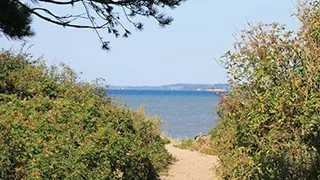 Strand in der Nähe von Søndermark Poolhus