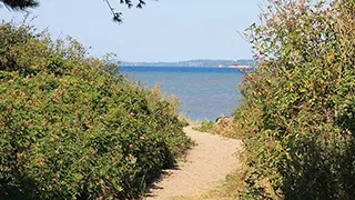 Strand in der Nähe von Oddermose Aktivhus