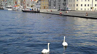 Hafen in der Nähe von Mølbjerg Aktivhus