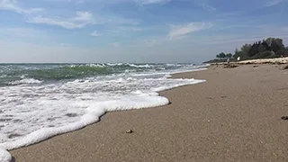 Strand in der Nähe von Flensburger Förde Poolhaus