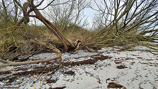 Strand in der Nähe von Vinkelbæk Udsigtshus