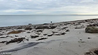 Strand in der Nähe von Lillebælt Udsigtshus