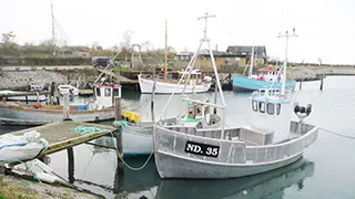 Hafen in der Nähe von Harresbæk Udsigthus