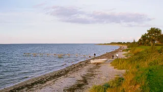 Strand in der Nähe von Svenstrup Landsbylejlighed