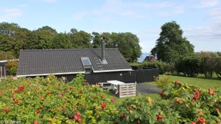 Grundstück von Anjas Hus