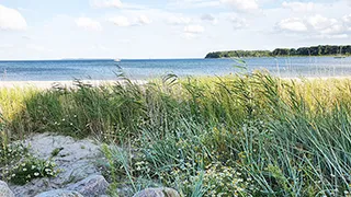 Strand in der Nähe von Feriehus Lærkemose