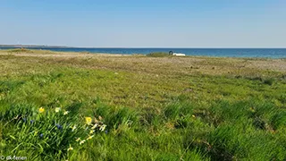 Strand in der Nähe von Hus Hejsager