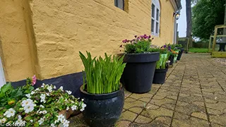 Terrasse von Hus Ørby