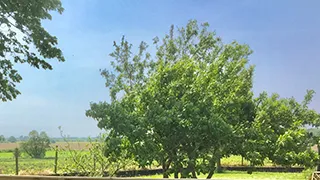 Ausblick von Hus Ørby