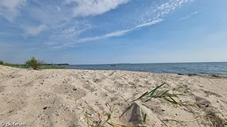 Strand in der Nähe von Hus Ørby