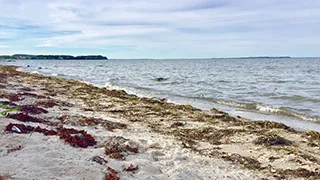 Strand in der Nähe von Hus Ørby