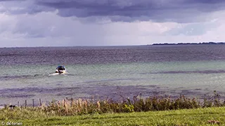 Strand in der Nähe von Hus Storebælt