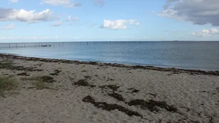 Strand in der Nähe von Dageløkkehus
