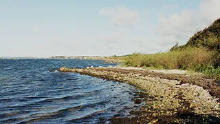 Strand in der Nähe von Hus Bøgebjerglund Havblik