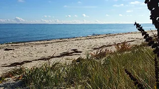 Strand in der Nähe von Hus Hasmark Dejligst