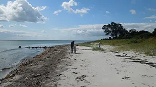 Strand in der Nähe von Bagenkop Aktivhus