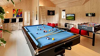 Billardtisch  Hus Kronens Have