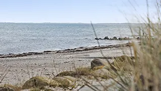 Strand in der Nähe von Hasmark Poolhus