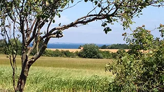 Ausblick von Pilevænget Hus