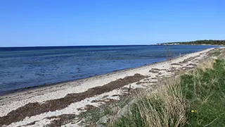 Strand in der Nähe von Dybdal Poolhus