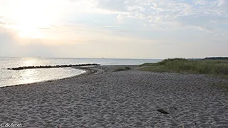 Strand in der Nähe von Sommerhus Kramnitze