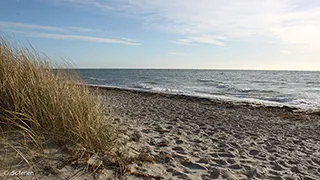 Strand in der Nähe von Sommerhus Kramnitze