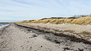 Strand in der Nähe von Sommerhus Kramnitze