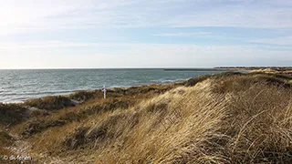 Strand in der Nähe von Sommerhus Kramnitze