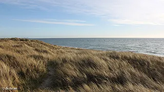 Strand in der Nähe von Sommerhus Kramnitze