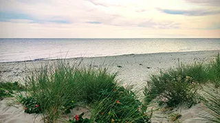 Strand in der Nähe von Sommerhus Kramnitze